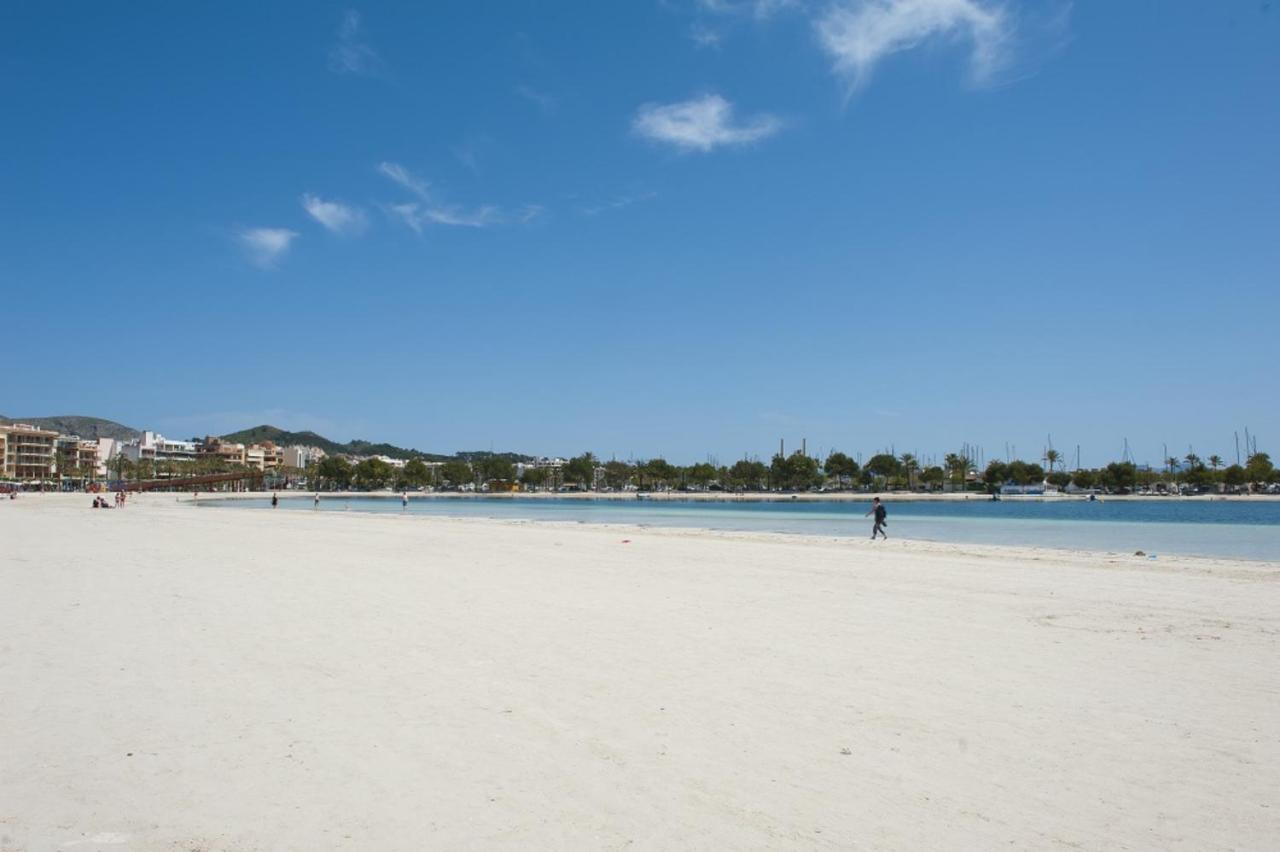 Llepol Port de Alcudia (Mallorca)